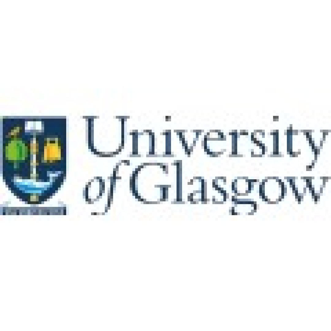 Accounting & Statistics BSc