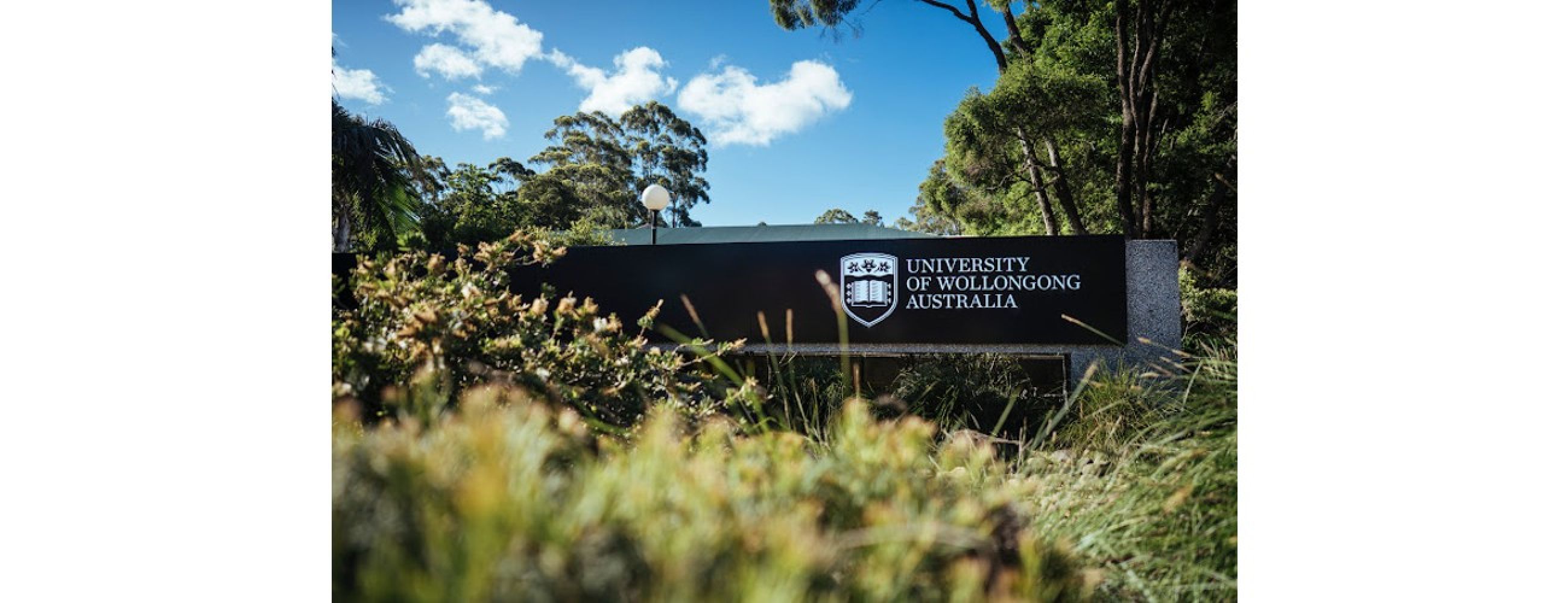 University of Wollongong